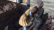 Fallout 4 child of atom mods